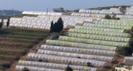 WUR innovative horticultural greenhouse increases water efficiency in Lebanon