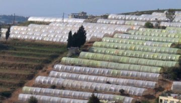 WUR innovative horticultural greenhouse increases water efficiency in Lebanon