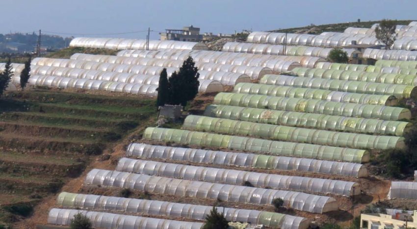 WUR innovative horticultural greenhouse increases water efficiency in Lebanon