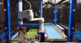 ISO Group unveils combination machine for cutting planting and transplanting
