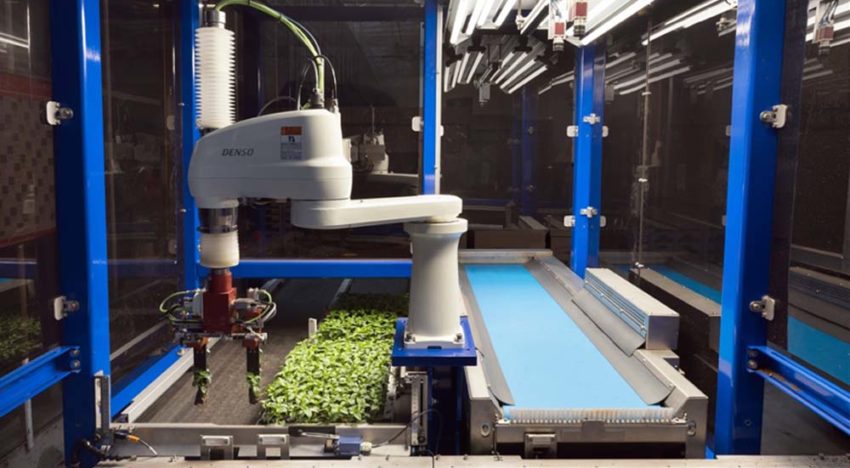 ISO Group unveils combination machine for cutting planting and transplanting