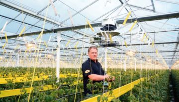 Combining two vertical fans makes for more even climate