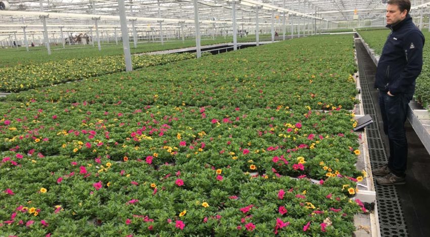 First tentative steps with biochar turn out positive