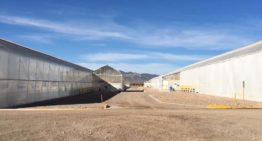 ‘We are committed to high standards of quality, food safety and sustainability’