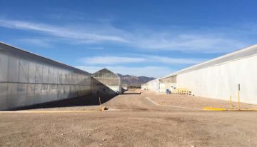 ‘We are committed to high standards of quality, food safety and sustainability’