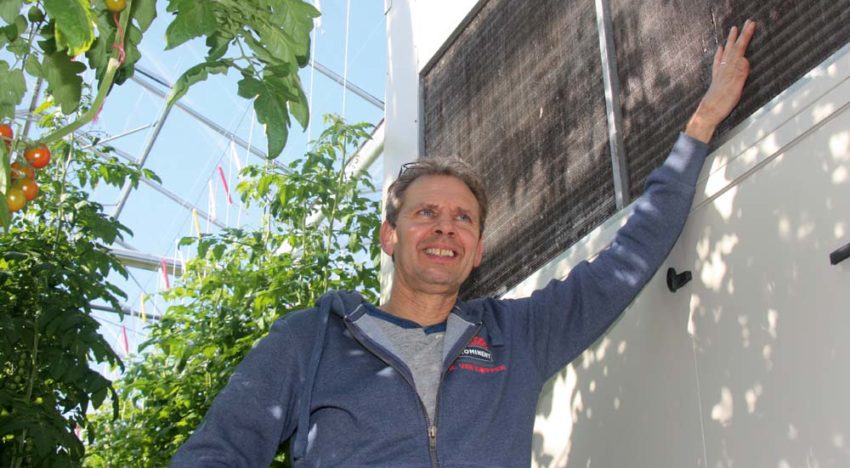 Dehumidifier boosts yields, cuts disease pressure and saves energy