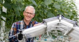 Radiation monitor improves understanding of plant processes