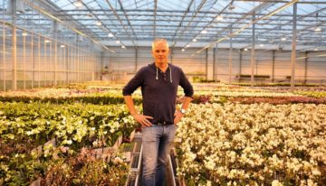 OK Plant opts for triple screen to boost quality even further