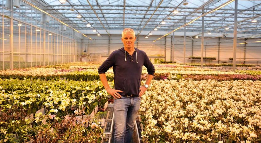 OK Plant opts for triple screen to boost quality even further OK Plant opts for triple screen to boost quality even further