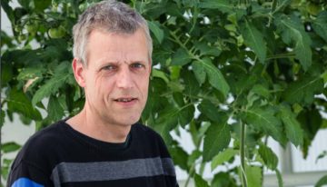 Nutrient deficiency in peppers despite perfect drainage values