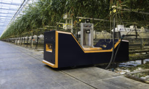 The Plantalyzer is a innovative tool for accurate estimation of vine tomato crops