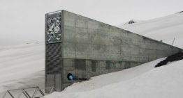 Norway invests 10 million euros in renovating world seed bank