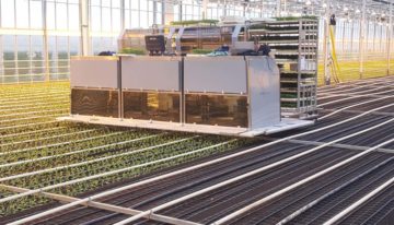 Plant small plants with robot arms