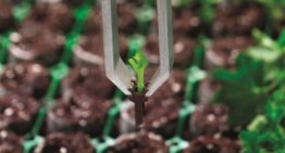 Automate the sticking of cuttings