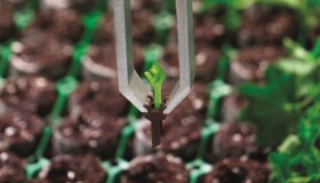 Automate the sticking of cuttings