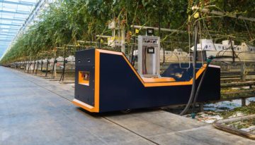 Tool for accurately estimating vine tomato crops