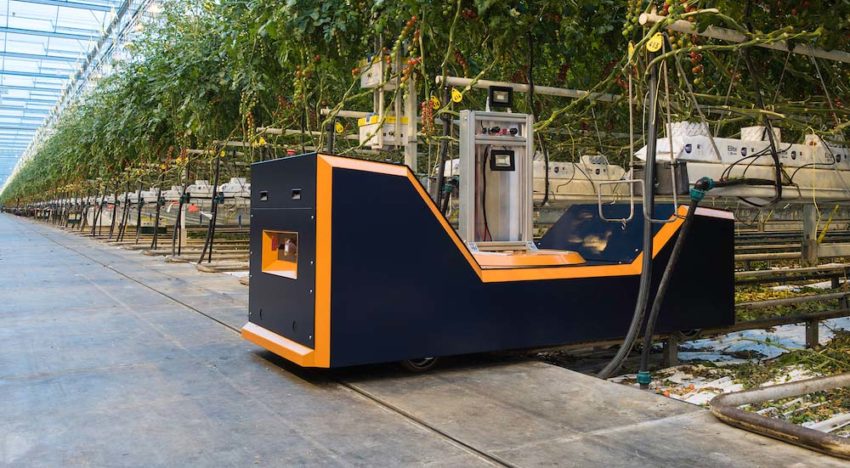 Tool for accurately estimating vine tomato crops