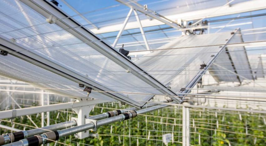 Winterlight greenhouse on track Winterlight greenhouse on track