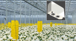 CropObserver offers growers more insight into a plant’s growth process