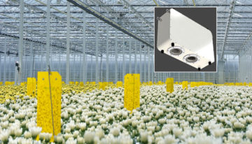 CropObserver offers growers more insight into a plant’s growth process