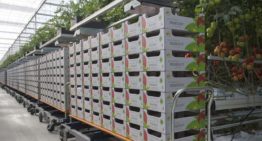 Move your harvest trolley with new technology