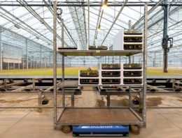 Smart automatic guided vehicle in ultra-low body