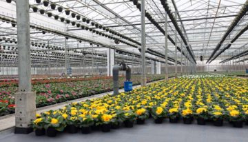 Cultivation fabric with good water permeability and temperature distribution