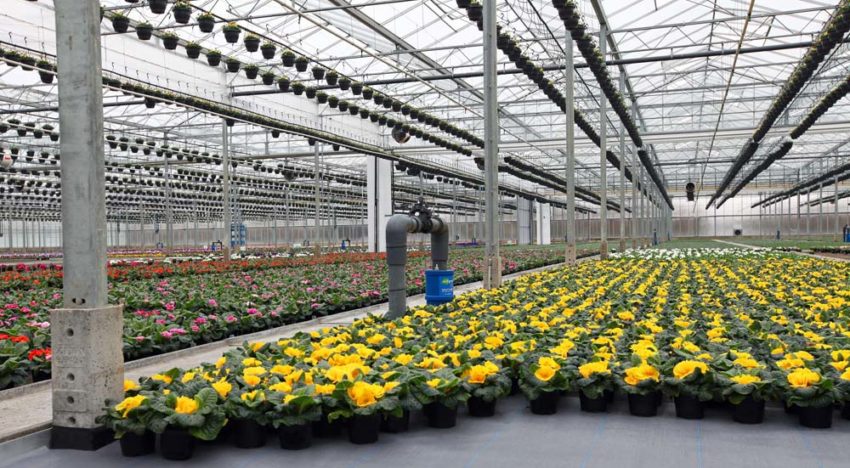 Cultivation fabric with good water permeability and temperature distribution