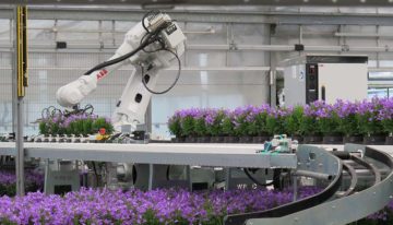 Smart packing line for potted plants