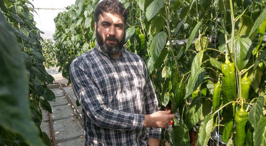 “I have always been a fan of new ideas and new approaches”