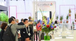 Wide-ranging seminars, innovations and new pavilions at GreenTech