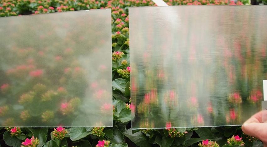 “Sharing crop data helps build knowledge on diffuse roof”