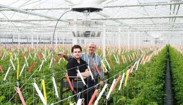 “I get goose bumps from such evenly coloured tomatoes”
