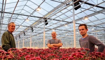 “It works, but you need discipline to succeed”