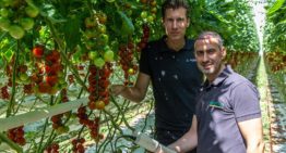 Water treatment system maintains optimum oxygen supply