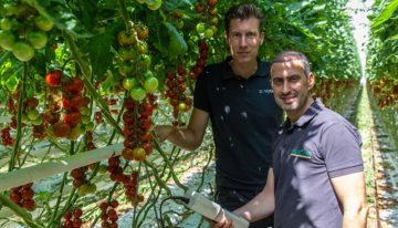 Water treatment system maintains optimum oxygen supply