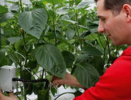 Smart sensors and dashboards are the future