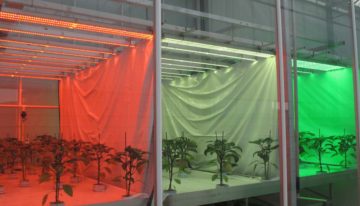 Thinking about light in new project