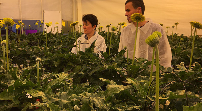 Effect of disinfectants on quality of irrigation water