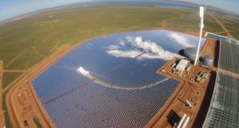 Solar energy project at Sundrop Farms among Clean Energy Award finalists