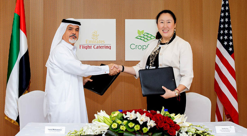 Caterer builds world’s largest vertical farming facility