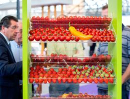 Vertical farming goes to horticulture without horticulturist via data and AI