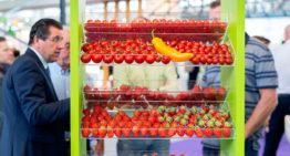 Vertical farming goes to horticulture without horticulturist via data and AI