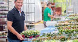 Need for resilient crop stimulates interest in silicon