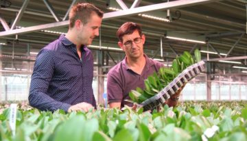 Right light spectrum on bottom layer with half the energy