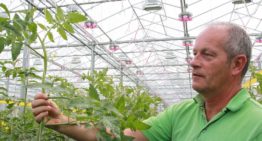 New LED lamp rates highly in hybrid lighting trial