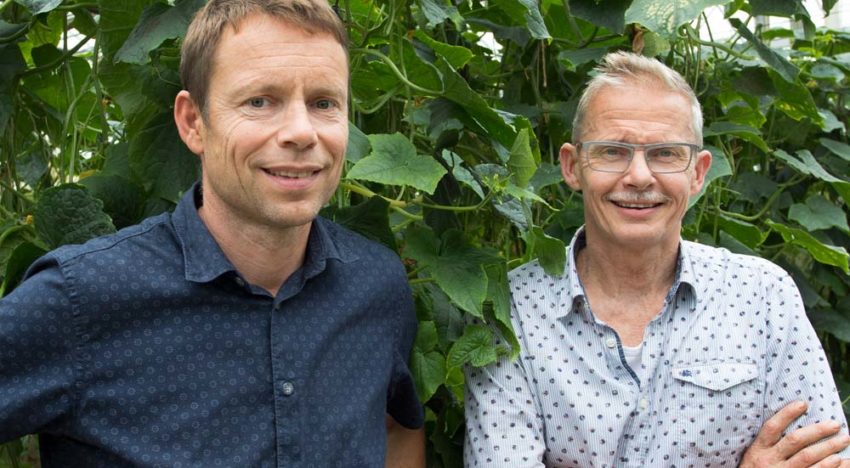 “Hygiene protocol and resistant varieties go hand-in-hand”