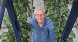 Double screen plays key role in quest for uniform climate