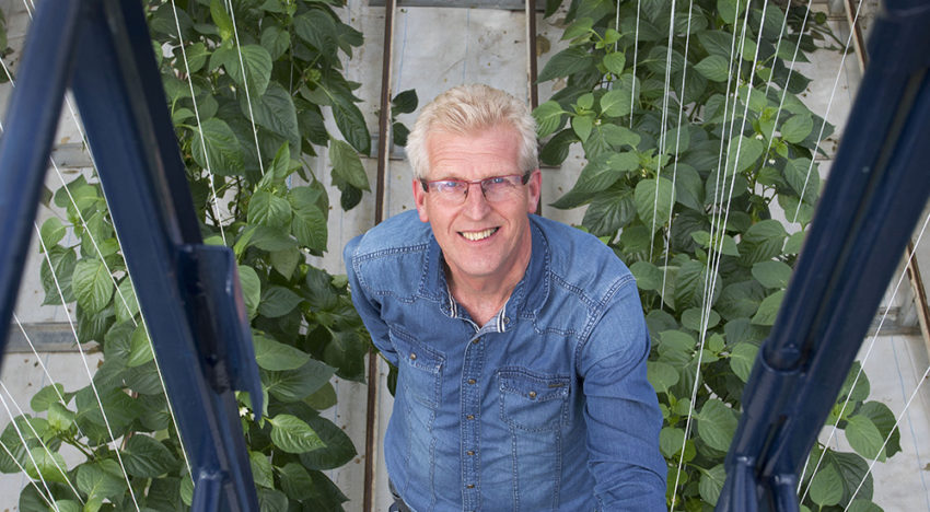 Double screen plays key role in quest for uniform climate