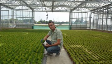 German company grows pot plants and bedding plants for upper segment